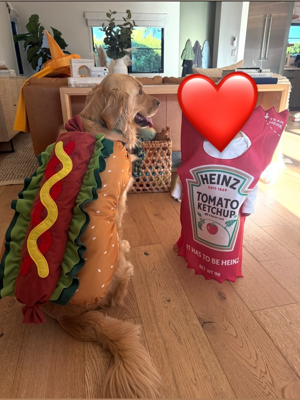 Novelty Hot Dog Dog Costume in Brown & Green with Red Mustard Accent